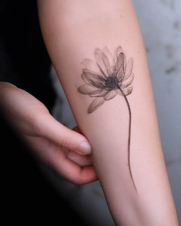 Water lily July birth flower tattoo by @bryan.gee