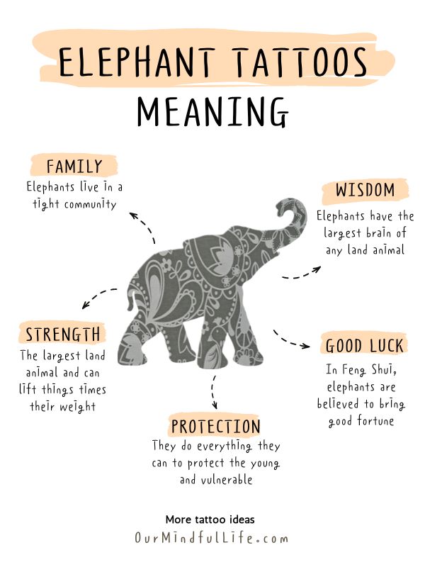 What Does the Elephant Symbolize
