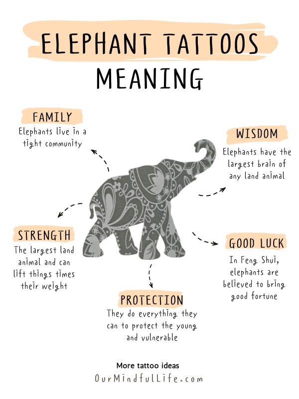 57 Unique Elephant Tattoos With Meaning Our Mindful Life