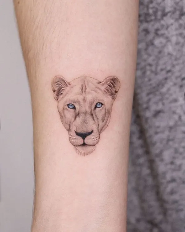 40 Awesome Lion Tattoo Ideas for Men & Women in 2023