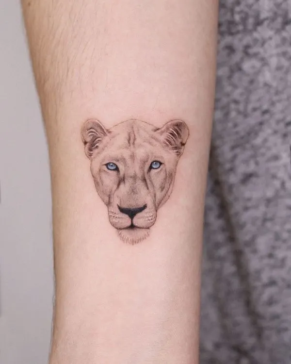 Lion Tattoos  36 Unique  Attractive Best Lion Tattoos  Ideas