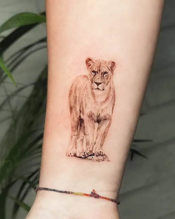 Added a Lioness to Adam's leg, thank you for coming through man, one more  session and we will be done! #lioness #tattoo #ink | Instagram
