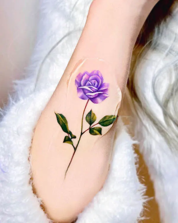 Beautiful purple rose by @munjeong_tatu