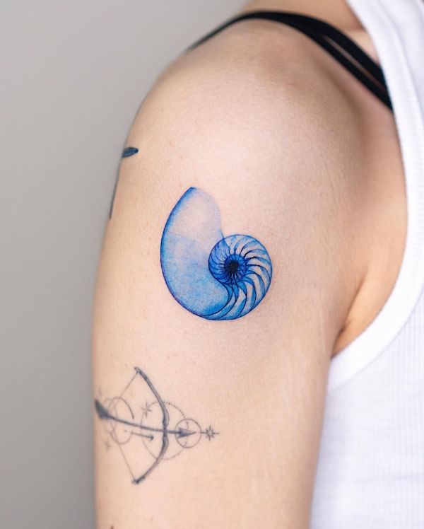 Gastropod shell tattoo by @pokhy_tattoo