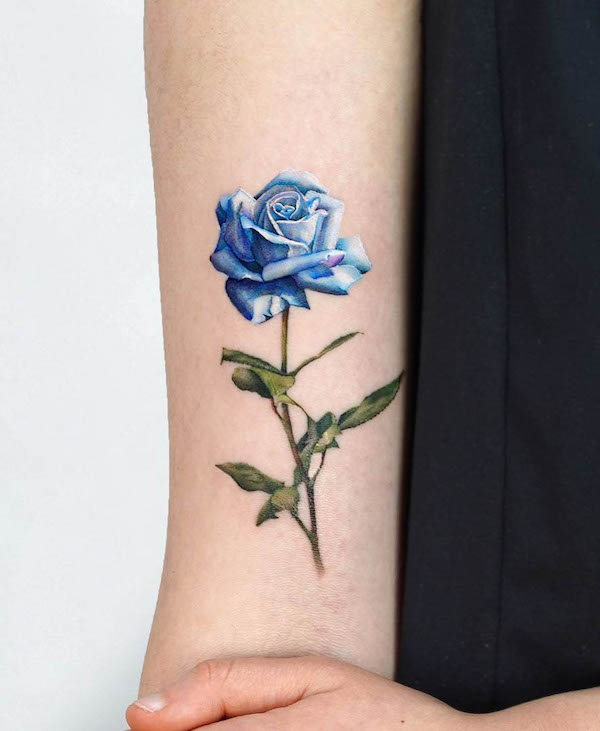 Micro-realism blue rose arm tattoo by @myungdo___