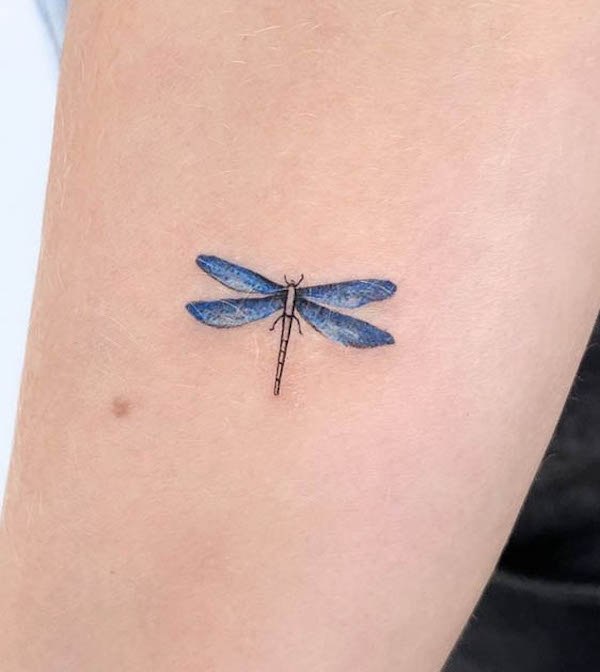 Tiny blue dragonfly tattoo by @tattooist_mora