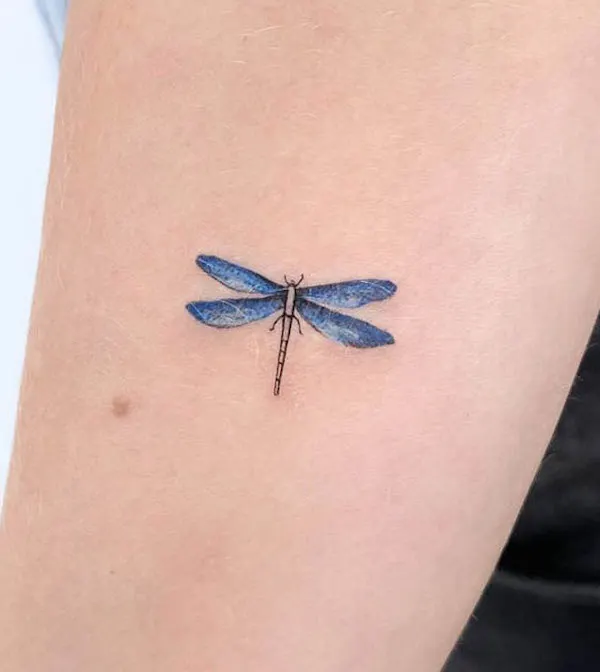 Blue dragonfly tattoo meaning