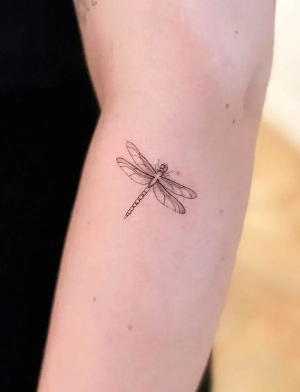 24 Exquisite Dragonfly Tattoo Ideas For Men  Women in 2023