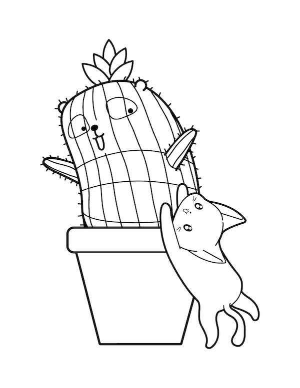 Cat and cactus