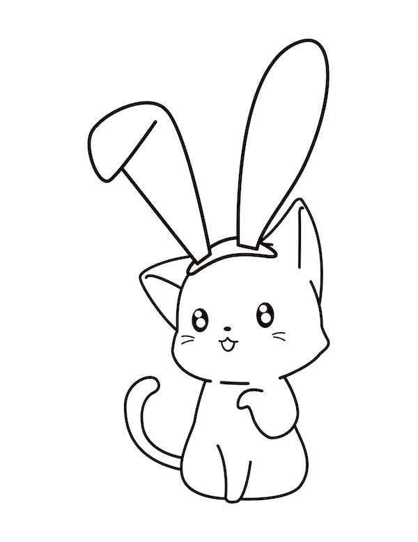 Cat bunny