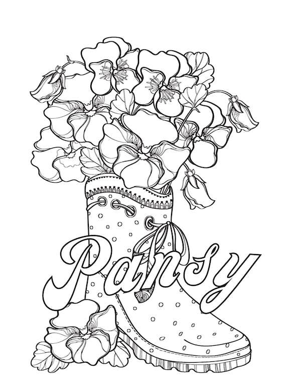 Pansy in a boot coloring page