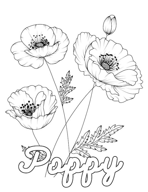 Poppy flower coloring page