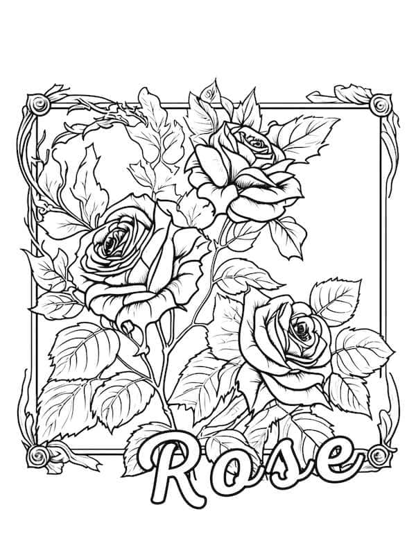 Rose coloring page