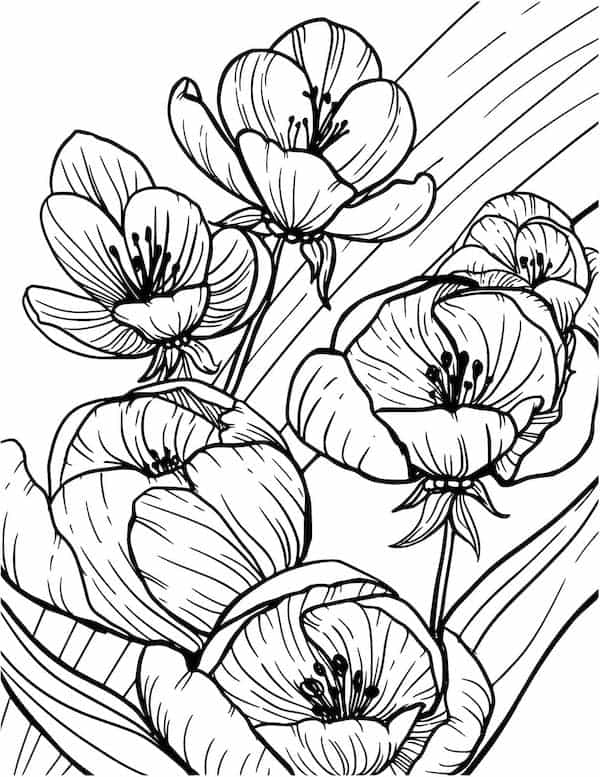 Simple blooming flowers coloring page