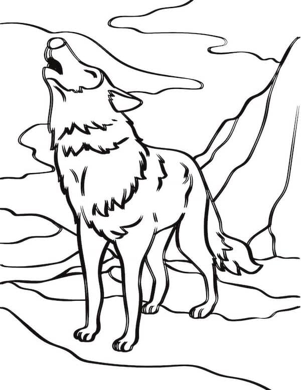 Howling wolf coloring page