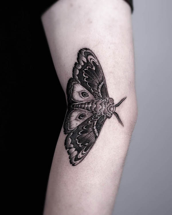 Cecropia moth elbow tattoo by @seoulinktattoo