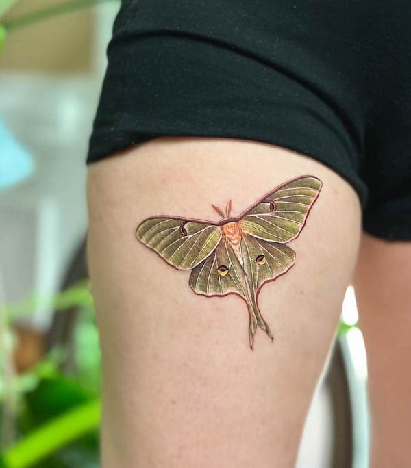 Tattoo uploaded by Buttons   Moonlit Luna Moth  Tattoodo