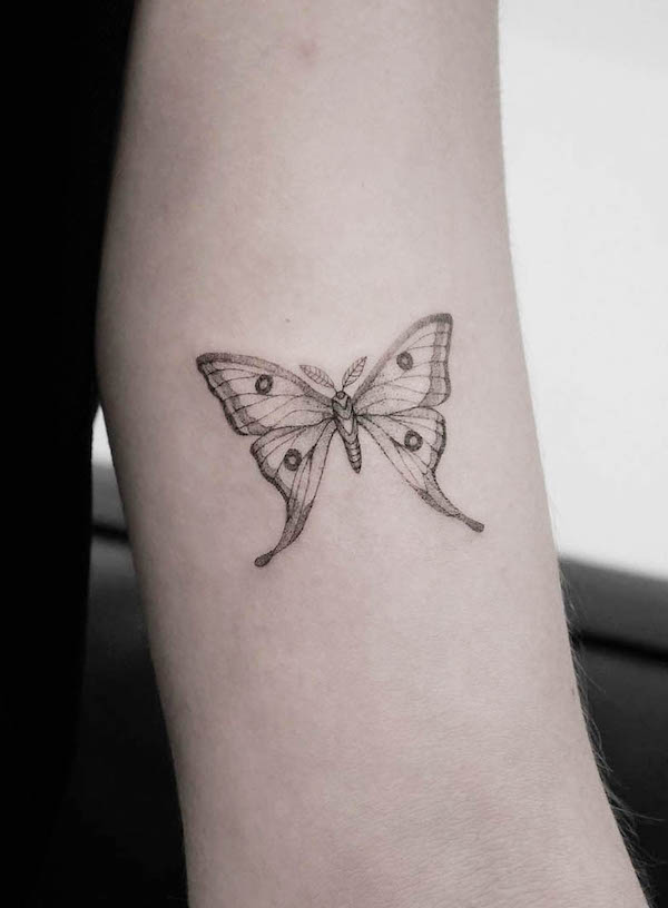 Simple fine line moth tattoo by @beccink
