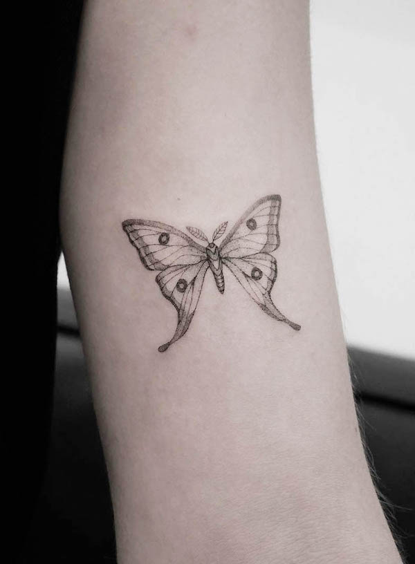 Storylines tattoo  Single needle  Small Lunar Moth