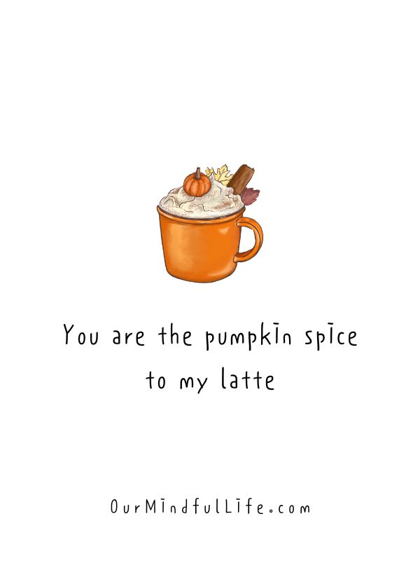 You are the pumpkin spice to my latte - cute fall love quotes