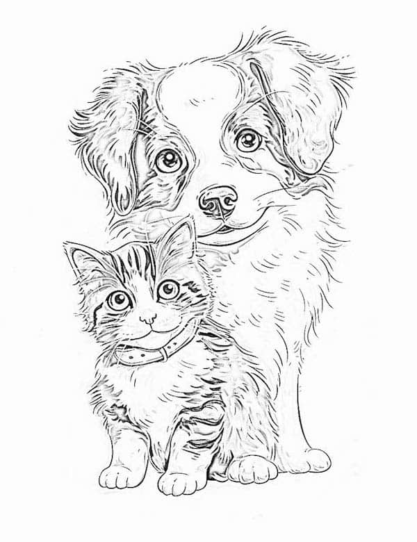 Dog and cat coloring page