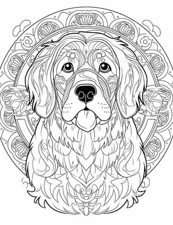 Dog mandala coloring page