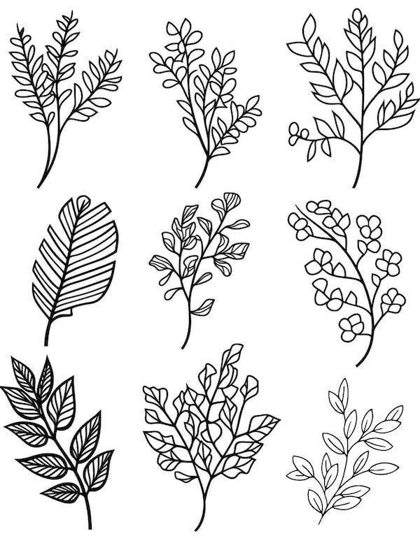 Fall leaves coloring page for kids