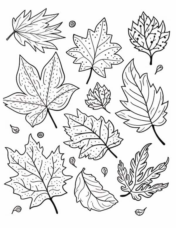Fall leaves coloring sheet for kids