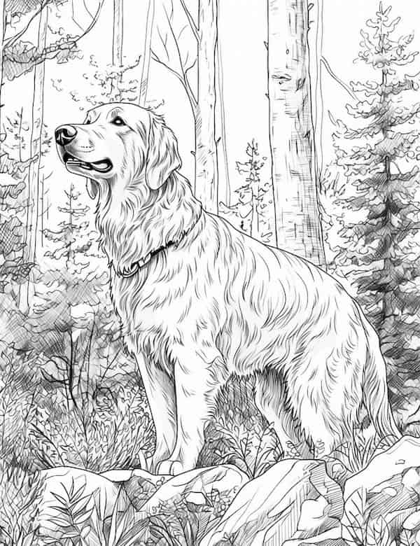 Golden retriever in the woods