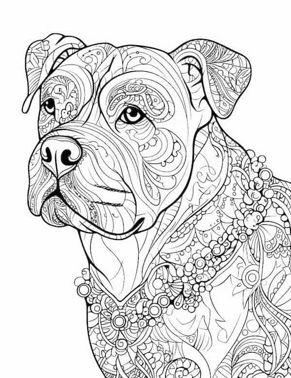 Pitbull mandala coloring page