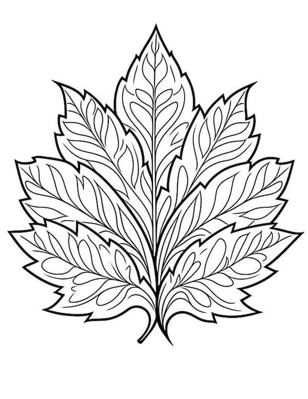 Simple leaf coloring page