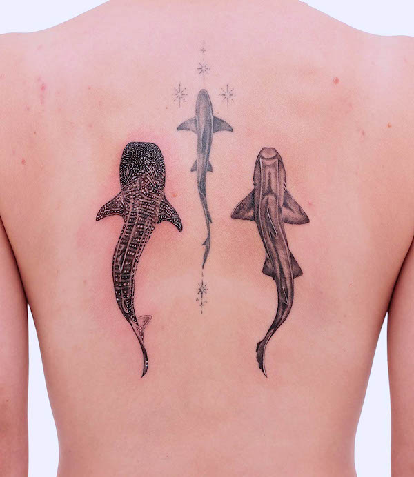 I hear we are posting shark tattoos??? This is my absolute favorite tattoo  I have! : r/sharks