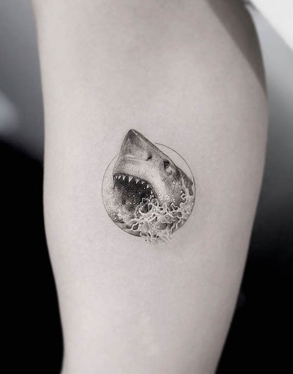 head shark by Jedidia: TattooNOW