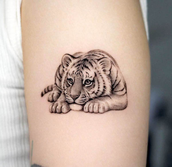 The resting tiger tattoo by @tattooist_dh
