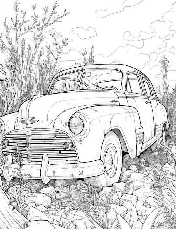 Abandoned rustic car in the wild
