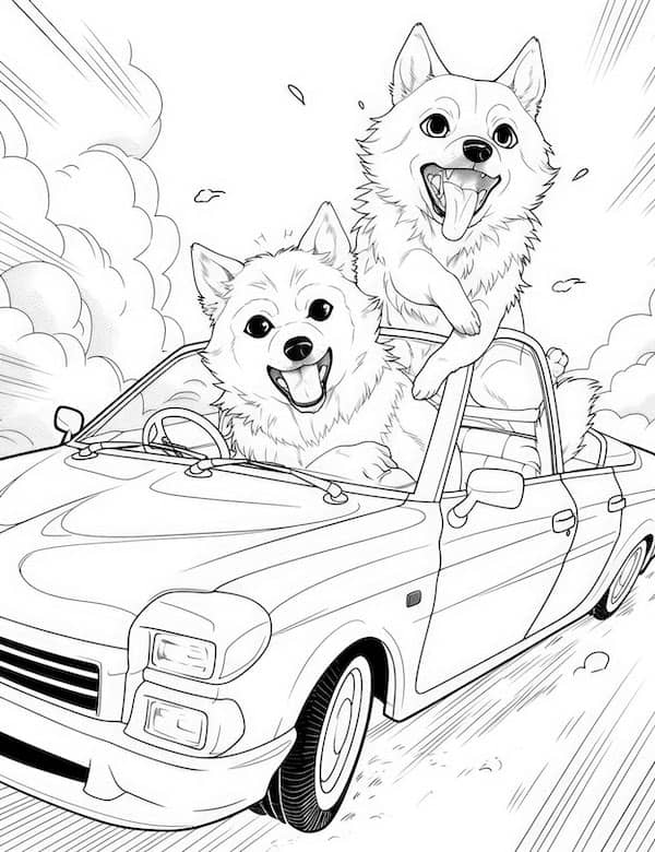 Super happy dogs driving a car