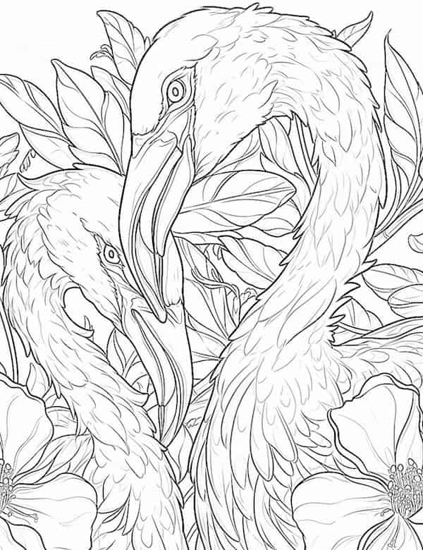 A pair of flamingos coloring page