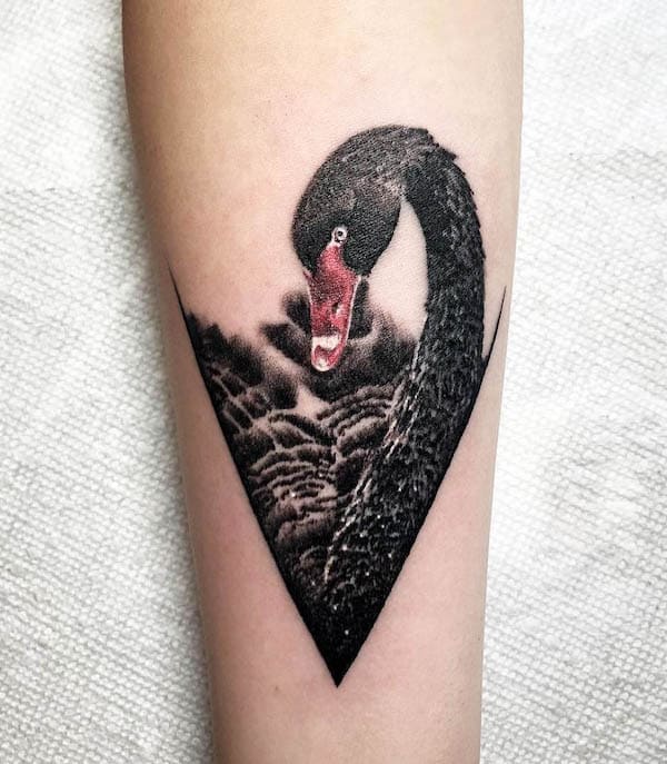 Beautiful realistic black swan tattoo by @martinkellytattoo