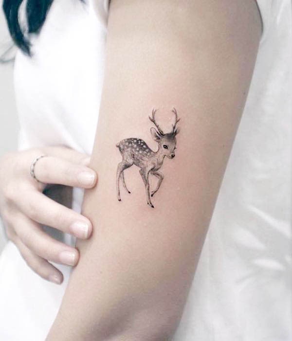 Deer and Chrysanthemum tattoo design :: Behance
