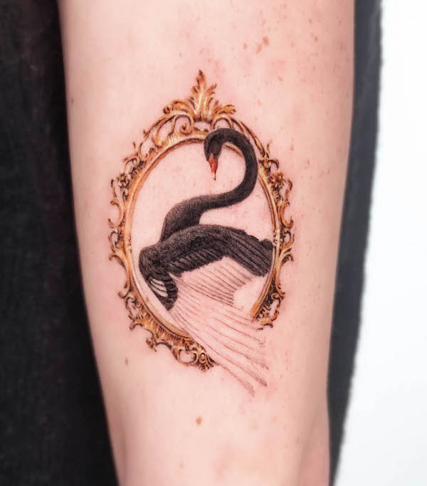 Swan in a frame by @sida_antique