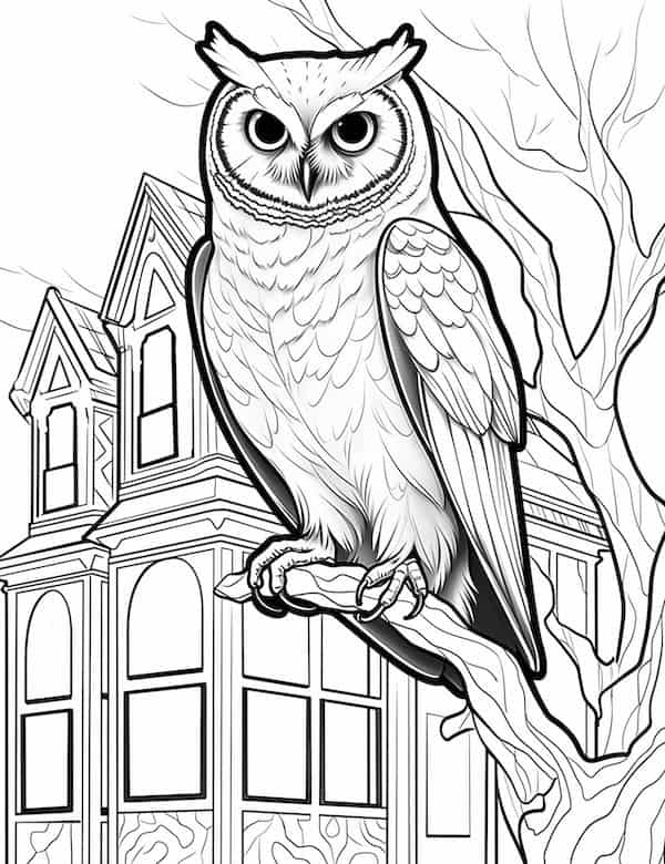 Owl and house coloring page