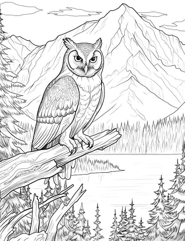 Owl and landscape coloring page