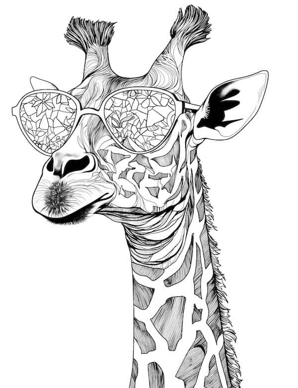 Fun giraffe with sunglasses