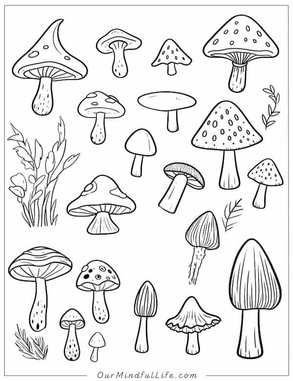 Mushrooms in different shapes