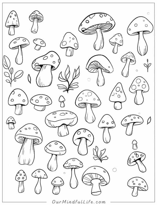 Mushrooms in different shapes