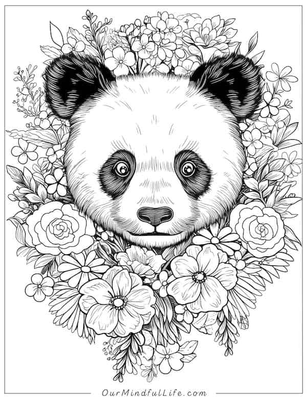 Panda and flowers coloring page