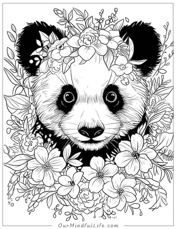 Panda and flowers coloring page