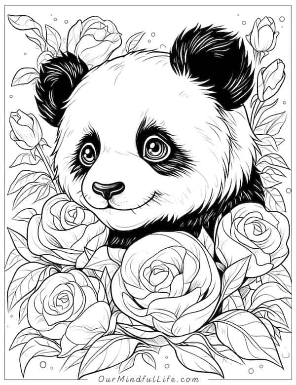 Panda and roses coloring page