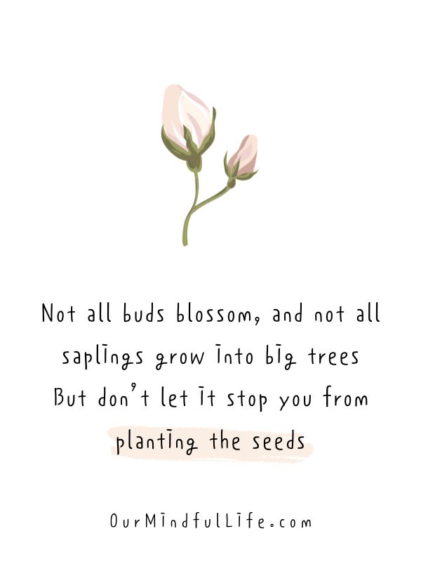 Trust the process and plant the seeds - motivational quotes for March