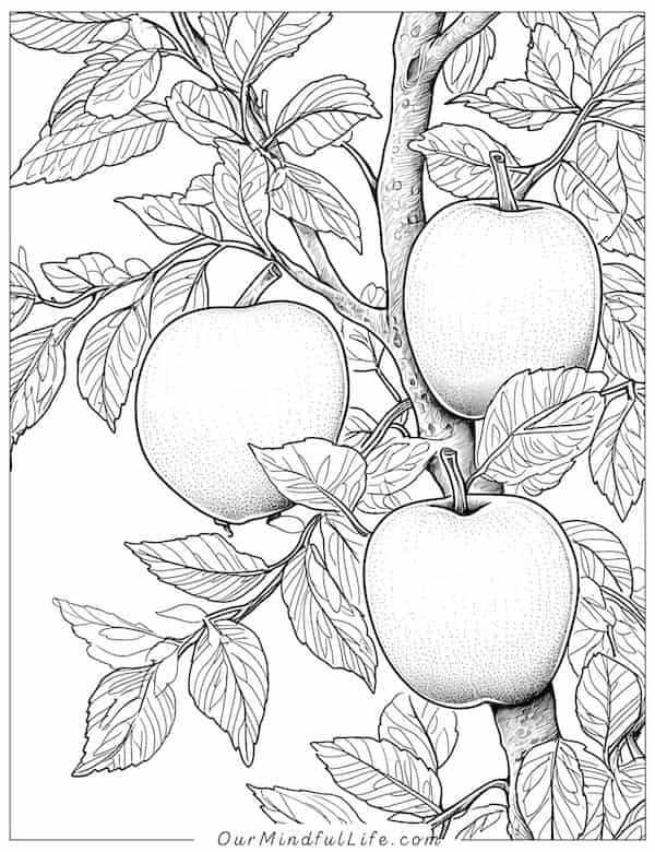 Apple tree closeup coloring page